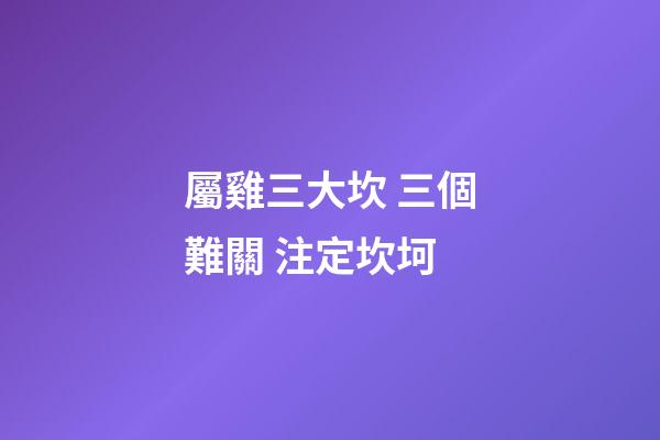 屬雞三大坎 三個難關 注定坎坷